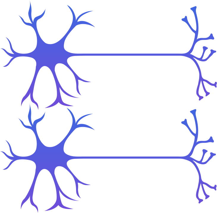 NeuronAssocIcon